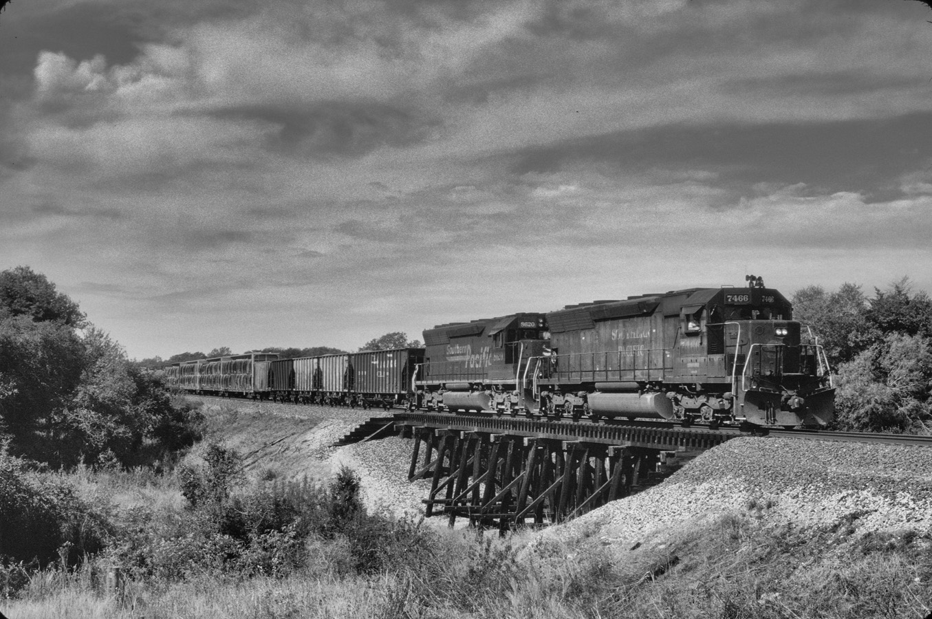 GCMX 2024