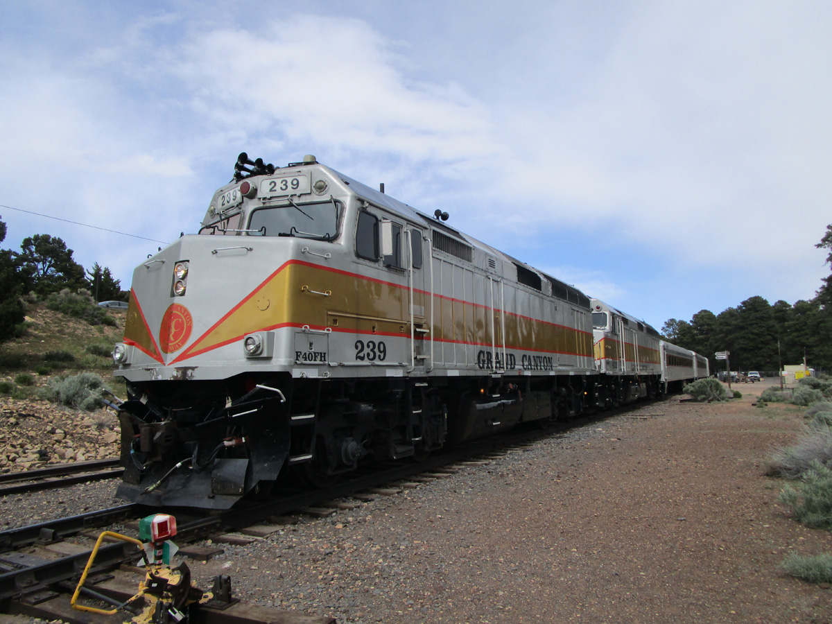 GCMX 2024