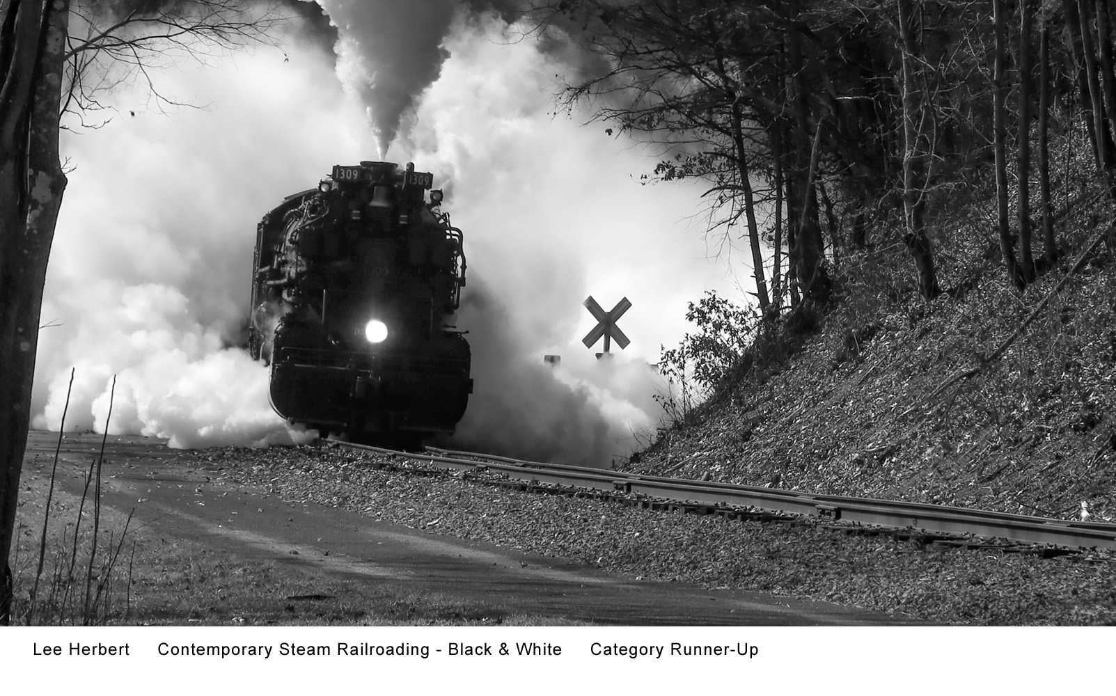 Gulf Coast Chapter - NRHS Photo Contest